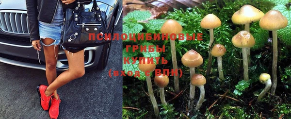 Альфа ПВП Верея
