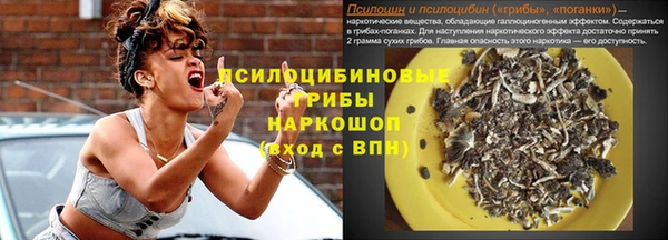 дмт Богданович