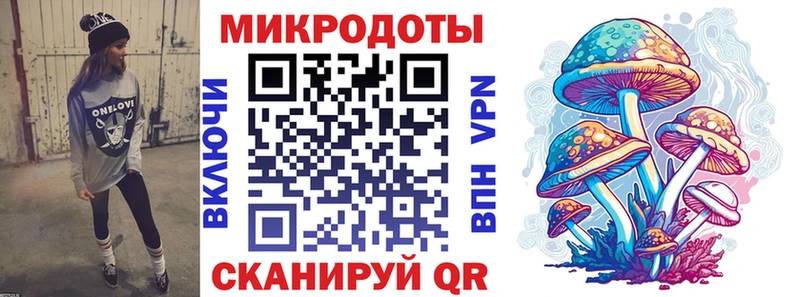 даркнет наркотические препараты blacksprut Каменногорск Псилоцибиновые грибы Magic Shrooms
